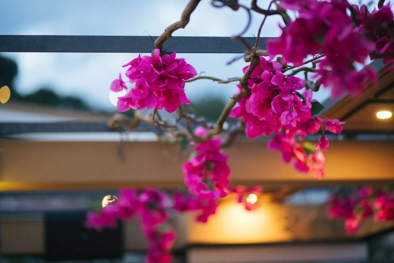 Amaryllis Hotell Návpaktos Eksteriør bilde